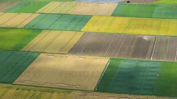 Agricultural area in the Neckarbogen near Lauffen am Neckar. Cereal fields in different shades of