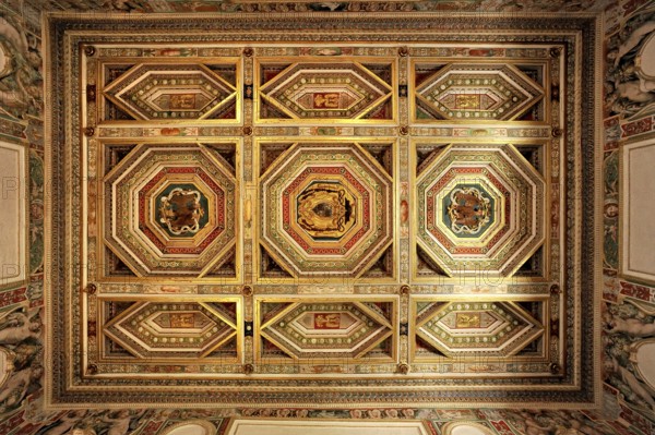 Panelled ceiling with coat of arms in the bedchamber of Cardinal Ippolito II d'Este, Camera del