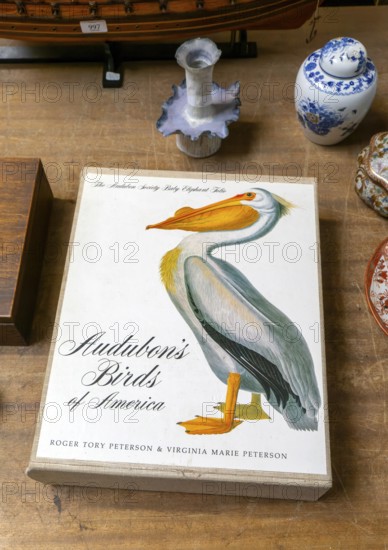 Audubon's Birds of America by Roger Tory Peterson and Virginia Marie Peterson, The Audubon Society