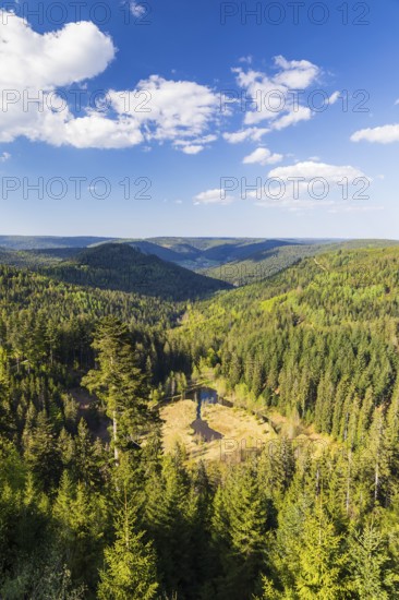 View of the silted-up Ellbachsee, a cirque lake, from the Ellbachseeblick viewing platform with