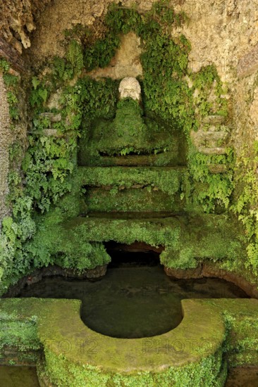 Fountain of the Nymphaeum, Renaissance garden of the Villa d'Este, water features, fountains,