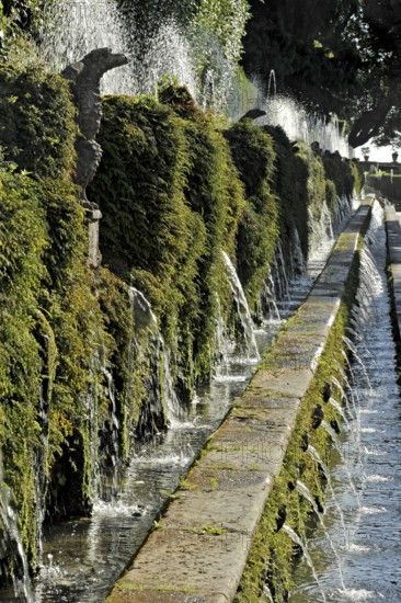 Avenue of a Hundred Fountains, Viale delle Cento Fontane, Renaissance garden of Villa d'Este, water
