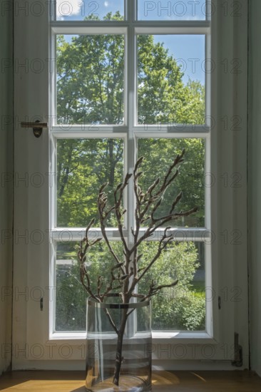 A window with a glass jar full of branches and a view of green trees, MÃ¼nsterland, North