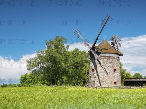 Old windmill behind a fence in a green field in spring, tower windmill, Endorf, Saxony-Anhalt,