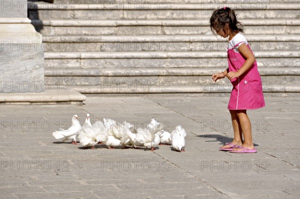 Girl, child playing with white peacock pigeons, pigeon (Columbidae) in the cloister of the