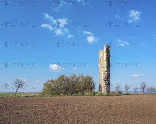Ruin Gaterslebener Warte, watchtower, part of the Quedlinburg town fortifications, in front a