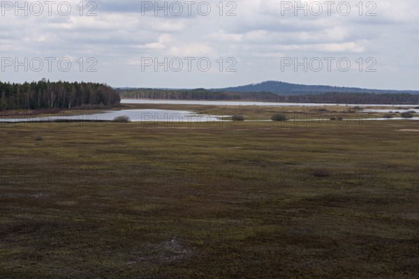 View over the fescue grasslands of Stora Gungflyet... Store Mosse (well-known national park in
