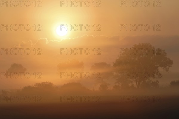 Intensely bright sunrise over an open cultivated landscape dominated by wet meadows, fields, bushes