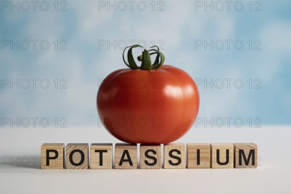 Red tomato with wooden blocks spelling Potassium. Clean studio composition highlighting natural