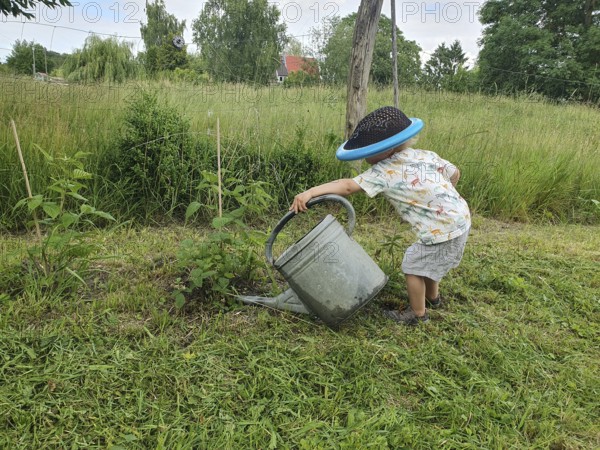Little boy with coneflower, 2 years old, watering a plant with a large watering can,