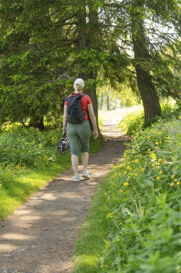 Woman walking on a flowery forest path in the sunlight, Alpe di Siusi, Dolomites, South Tyrol,