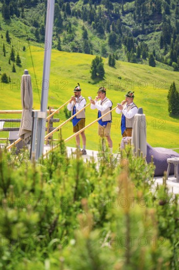 Alphorn players stand on a terrace in front of a landscape with green meadows and conifers,