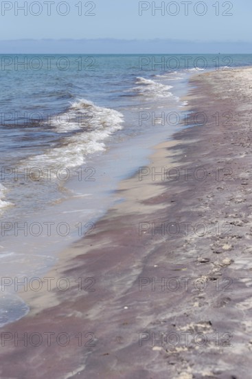 The beach with gentle waves meets the clear blue sea under a wide sky, Prerow,