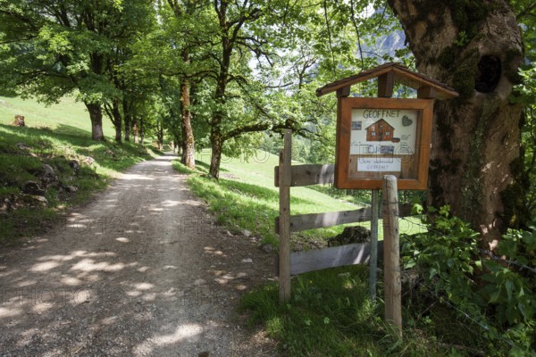Path with tree-lined avenue and signpost to the Ditersbachalpe, near the historic farming village