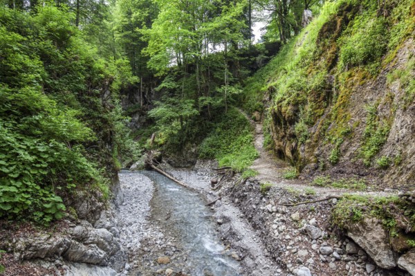 Dietersbach am Rautweg, near Gerstruben, Dietersbachtal, near Oberstdorf, AllgÃ¤u Alps,