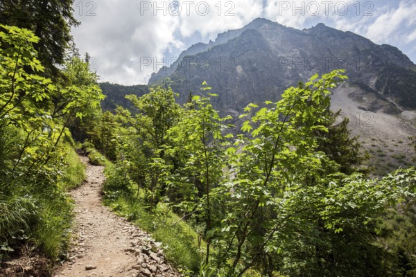 Hiking trail from GaiÃŸalpe to Unterer GaiÃŸalpsee, behind Rubihorn, near Oberstdorf, OberallgÃ¤u,