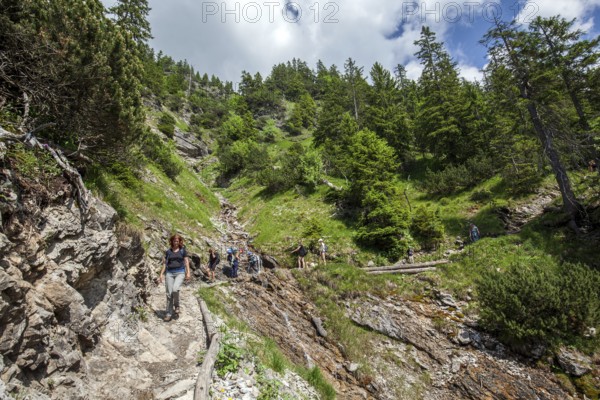 Hiking trail from the GaiÃŸalpe to Unterer GaiÃŸalpsee, at the back of the Illertal, near