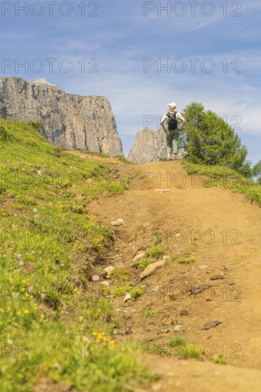 A hiker walks along a sunny nature trail, surrounded by mountainous landscape, Schlehrn hike, Alpe