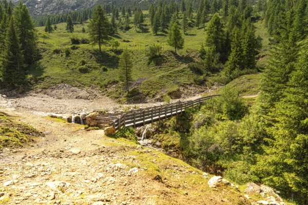 A wooden path leads over a small river into a sun-drenched forest, Schlehrn hike, Alpe di Siusi,