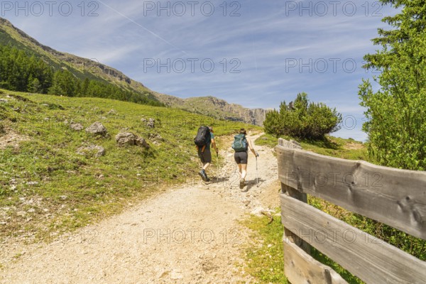 Two hikers walk along a sunny mountain path, flanked by a wooden barrier, Schlehrn hike, Alpe di