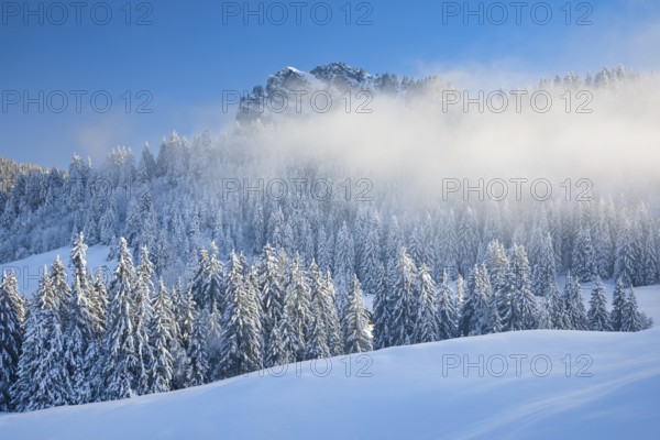 View of Sattelegg with Chli Aubrig in the background, Canton Schwyz, Switzerland