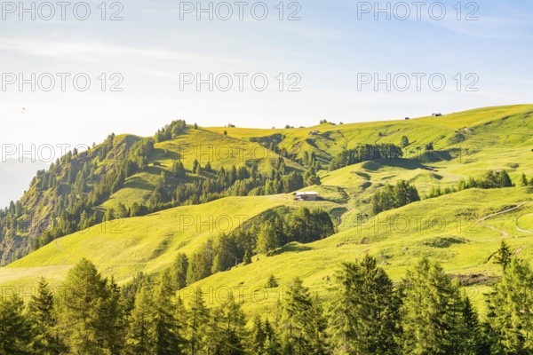 Panorama of rolling, wooded hills with a house in the distance, hike to the Schlehrn, Alpe di