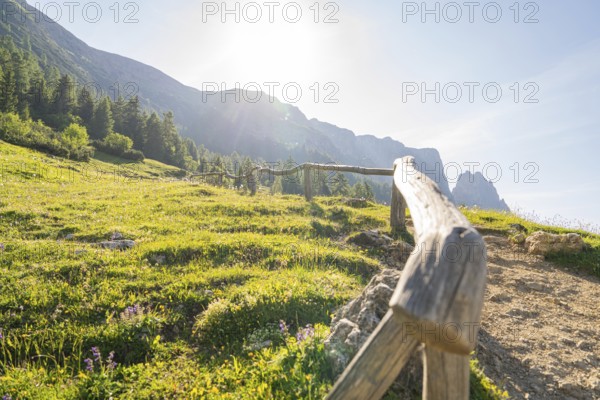 Sun-drenched path with wooden fence and view of the mountains, hike to the Schlehrn, Alpe di Siusi,