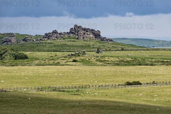 The Hound Tor rocks at Widecombe-in-the-Moor in Dartmoor National Park. Bovey Tracey, Devon, South