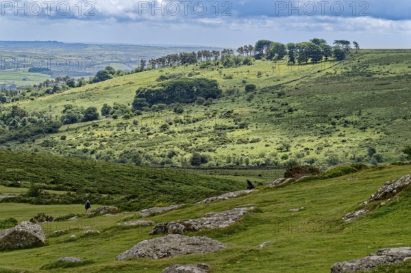 Landscape around the Haytor Rocks in Dartmoor National Park. Bovey Tracey, Devon, South England,