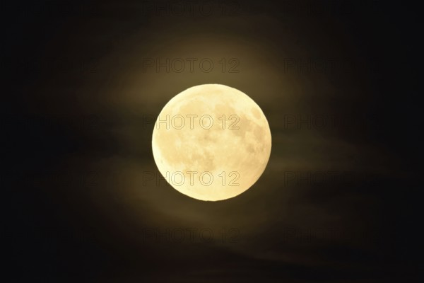 Round, full moon, bright shining full moon in starry night with a small aura caused by thin clouds,