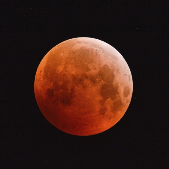 The 21.01.2019... Core shadow lunar eclipse... Blood moon (super moon, lunar eclipse), brightly
