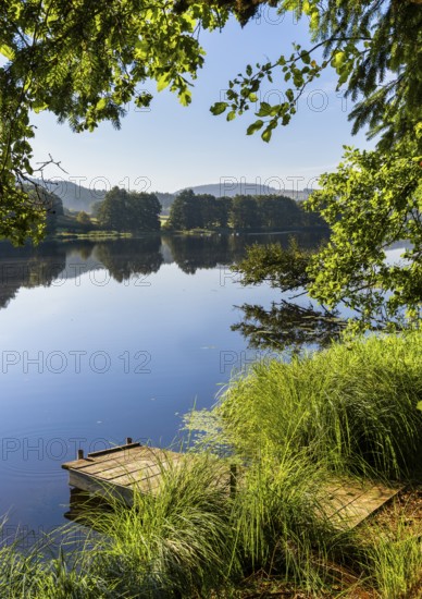 A jetty at Blaibacher See. Blaibach, district of Cham, Upper Palatinate, Bavarian Forest, Bavaria,