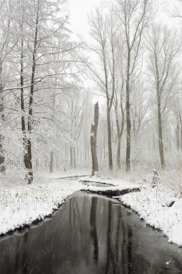 Winter at the MÃ¼hlenbach... Meerbusch (North Rhine-Westphalia), onset of winter with snowfall in