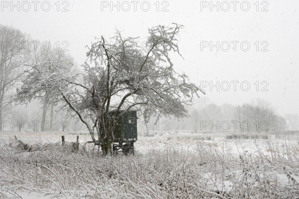 In the StrÃ¼mper Bruch... Meerbusch (North Rhine-Westphalia), mobile hunting hide, high seat in a