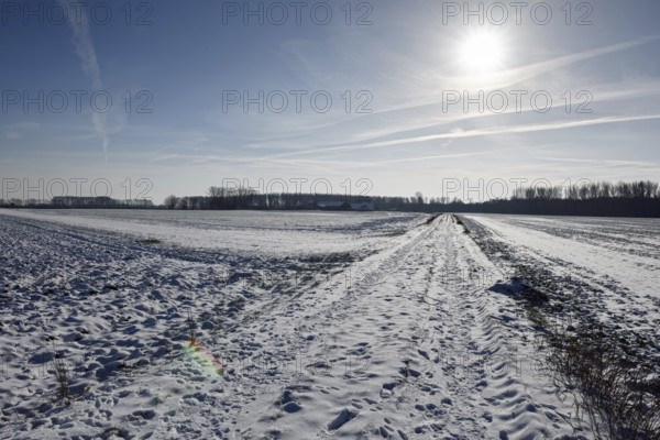 Glistening light... Meerbusch (North Rhine-Westphalia), rural cultural landscape on the Lower Rhine