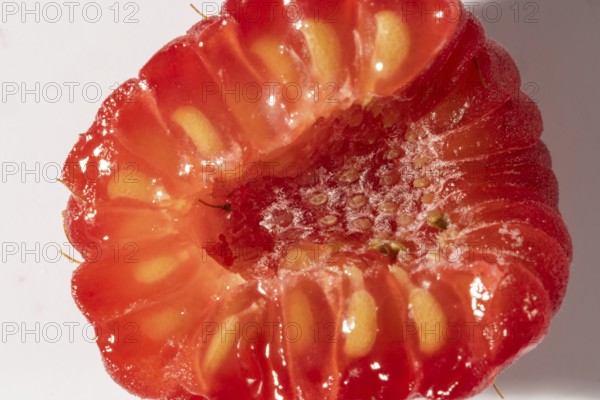 Sliced raspberry with visible seeds and juicy texture, macro image