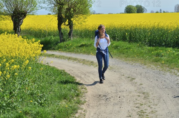 Young woman with backpack walking on a countryroad with willow trees and field of rape in Skivarp,
