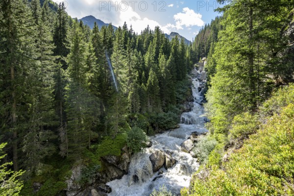 Waterfall at a roaring mountain stream between trees, Seebach stream in the Burkhardklamm gorge,