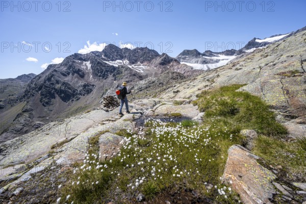 Mountaineer on hiking trail, rocky mountain landscape with cotton grass, behind Königshofspitz,