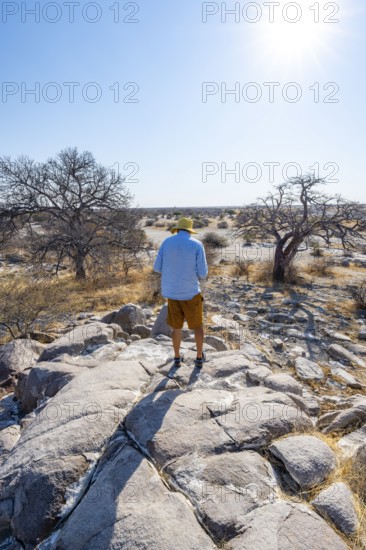 Tourist on a hill with baobabs, African baobab or monkey bread tree (Adansonia digitata), view over