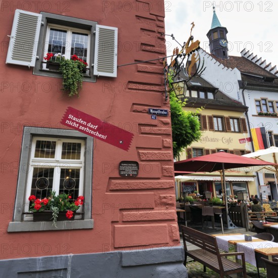 FaÃ§ade detail, Gasthaus zum Löwen, protest against cracks caused by geothermal drilling, Staufen