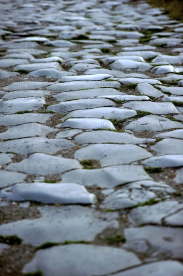 Ancient pavement of the main street Decumano Massimo, large paving stones, remains, ruins, ancient