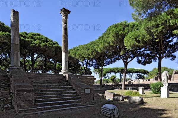 Ruins of the Tempio di Cerere, temple of the goddess Ceres, remains, podium temple with staircase