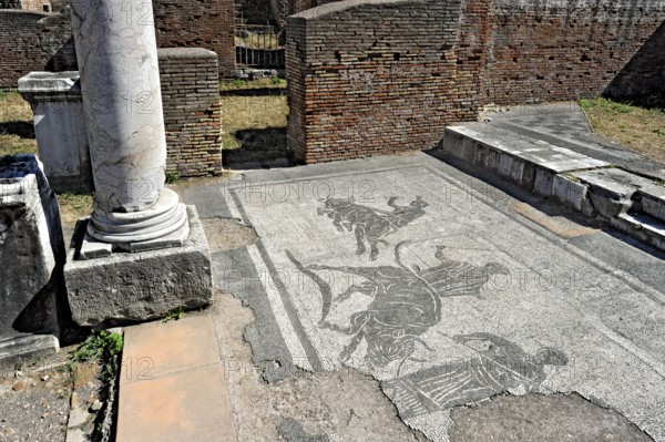 Ruins with mosaics on the floor of the police barracks, Caserma dei Vigili, ancient port city of