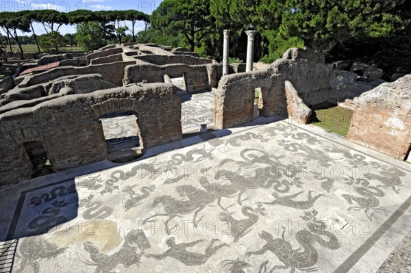Ruins with mosaics on the floor of the Terme di Nettuno, thermal baths of the sea god Neptune,