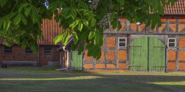 View through a chestnut tree to a part of a barn, Böhme, Heidekreis, Rethem Aller, Leine Aller Tal,