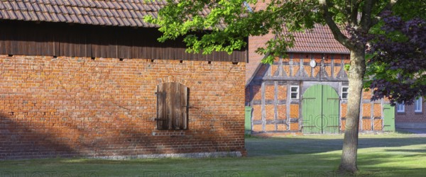 View through a chestnut tree onto a farm, Böhme, Heidekreis, Rethem Aller, Leine Aller Tal, Lower