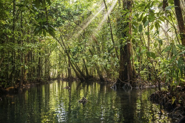 Lagoon, Klong Rud, Klong Nam Sai, Ao Nang, Krabi, Thailand