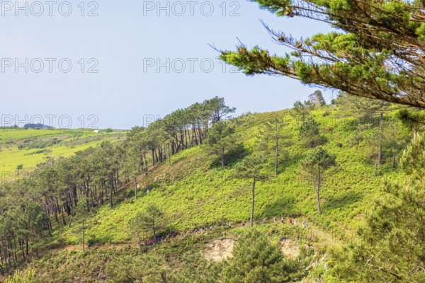 Rolling landscape with hikers walking on row on a hiking trail on a slope a sunny summer day,
