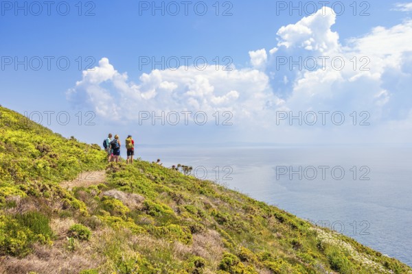 Group of hikers standing and looking out over the sea towards the horizon on a coastal footpath on